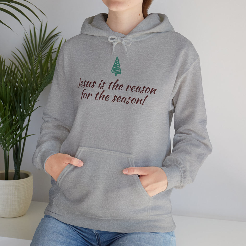 Jesus Is the Reason for the Season Hoodie — Christian Christmas Pullover