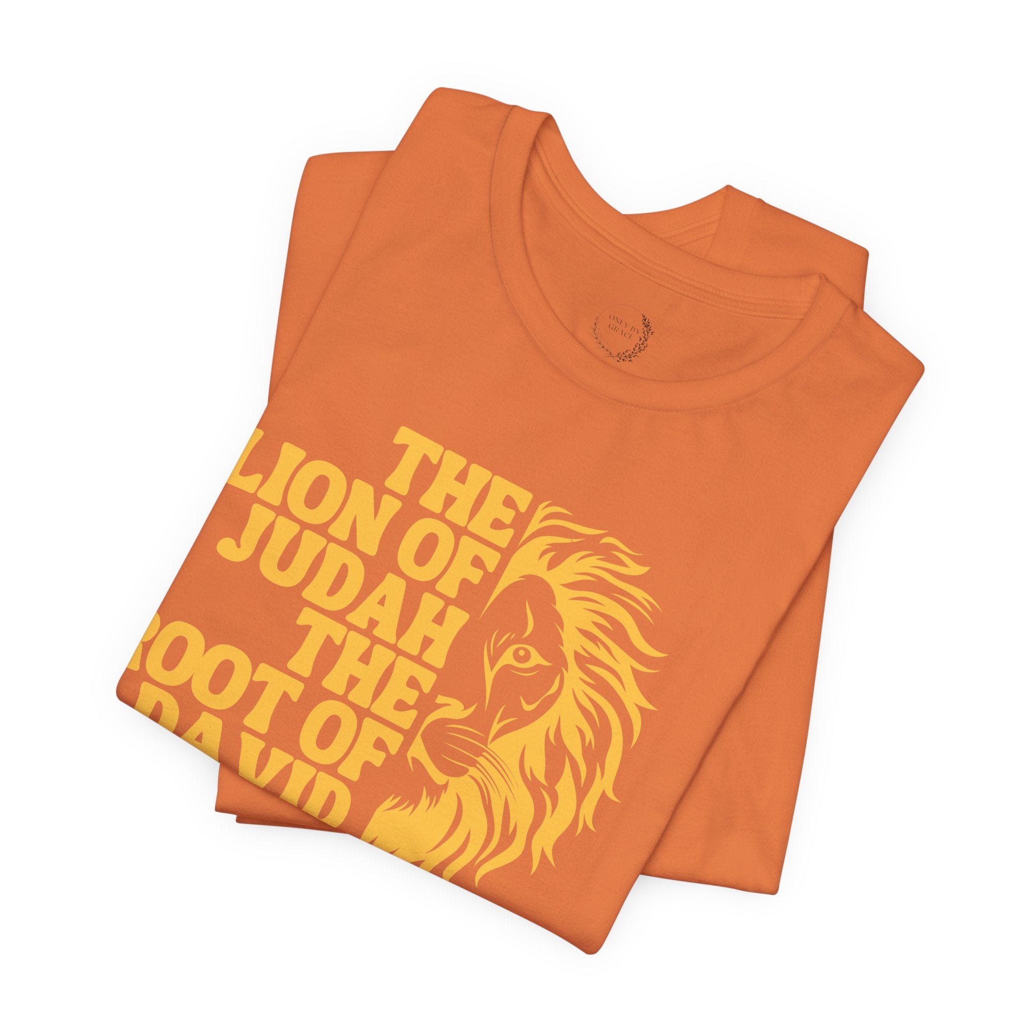Lion of Judah T‑Shirt — "The Lion of Judah The Root of David Has Triumphed" Christian Graphic Tee