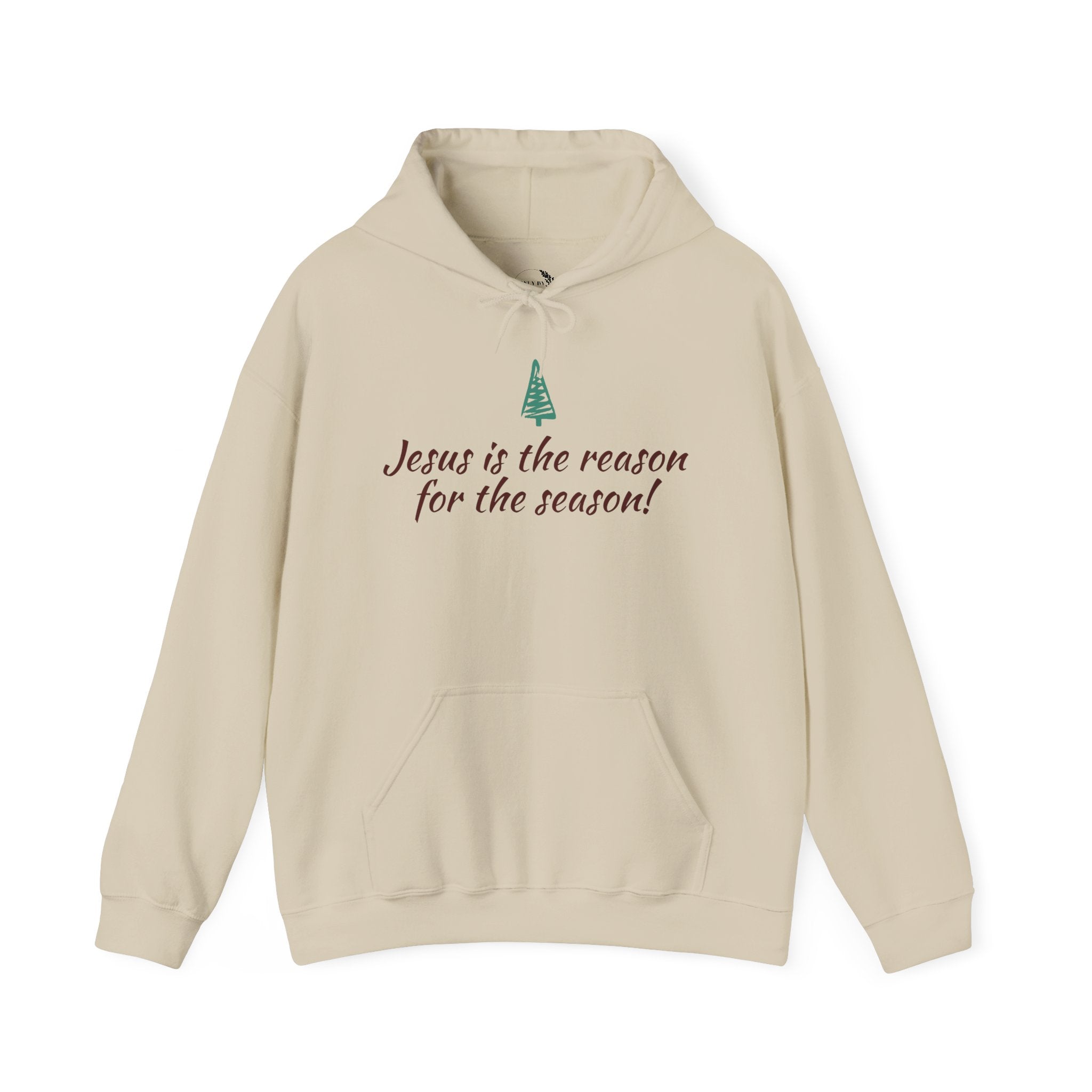 Jesus Is the Reason for the Season Hoodie — Christian Christmas Pullover