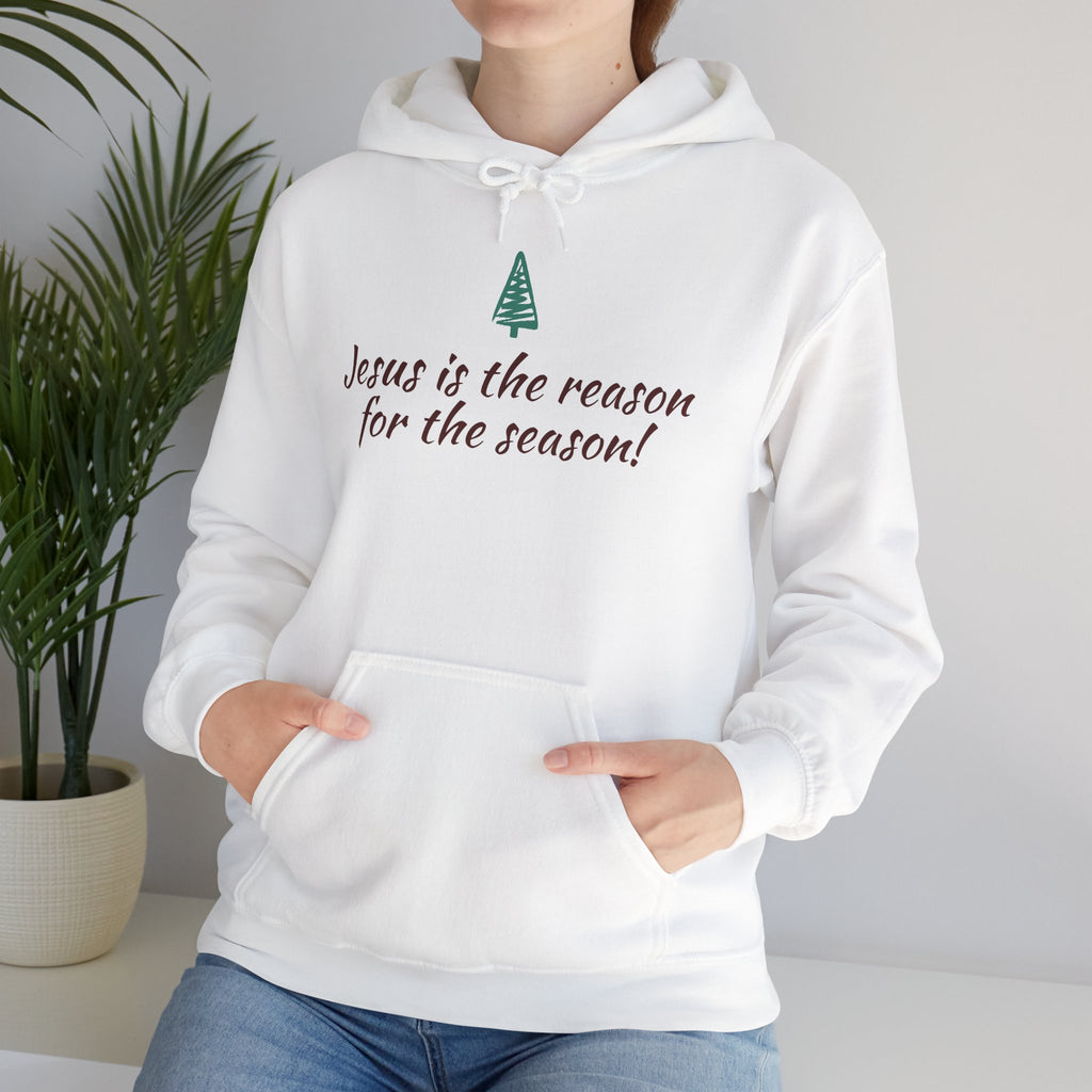 Jesus Is the Reason for the Season Hoodie — Christian Christmas Pullover