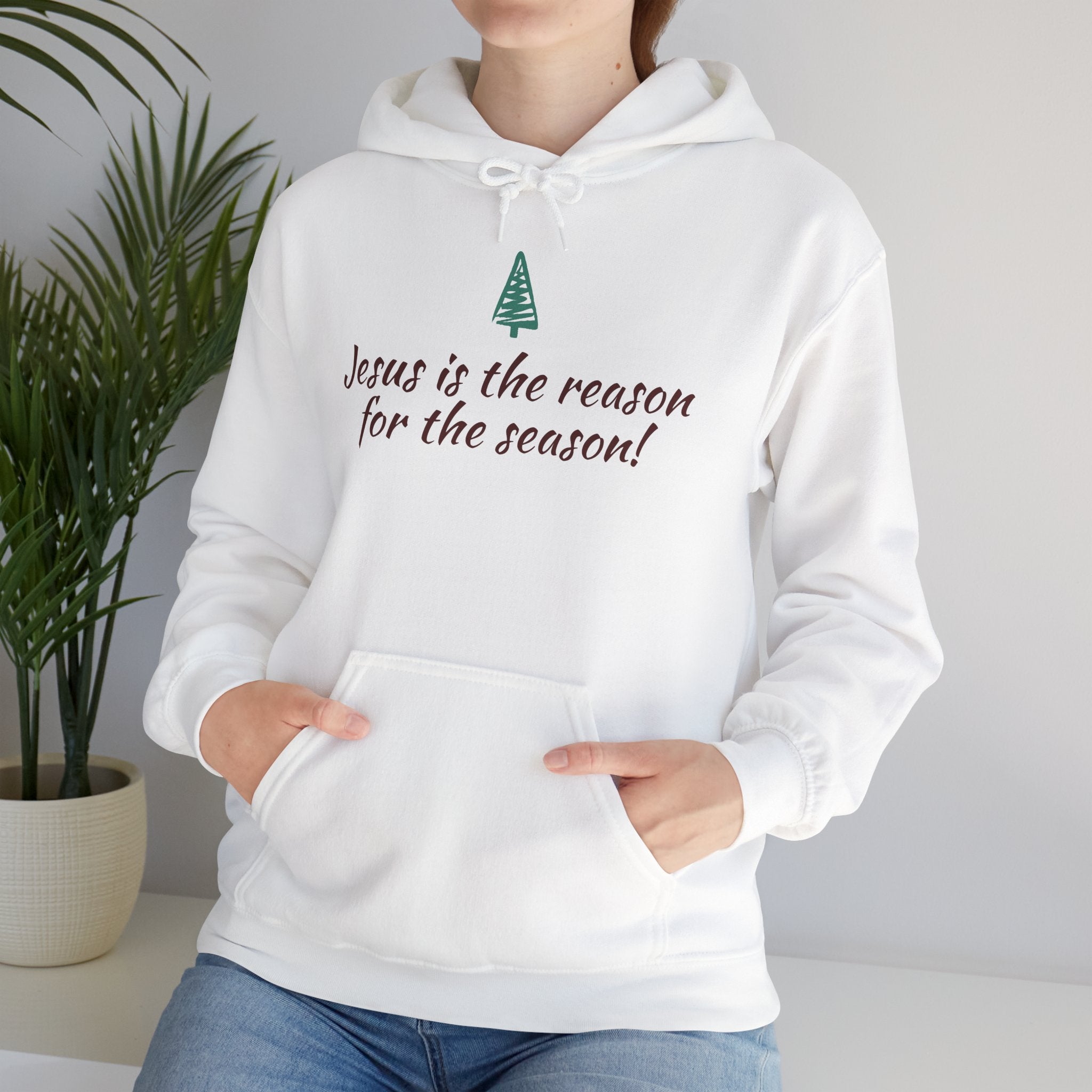 Jesus Is the Reason for the Season Hoodie — Christian Christmas Pullover