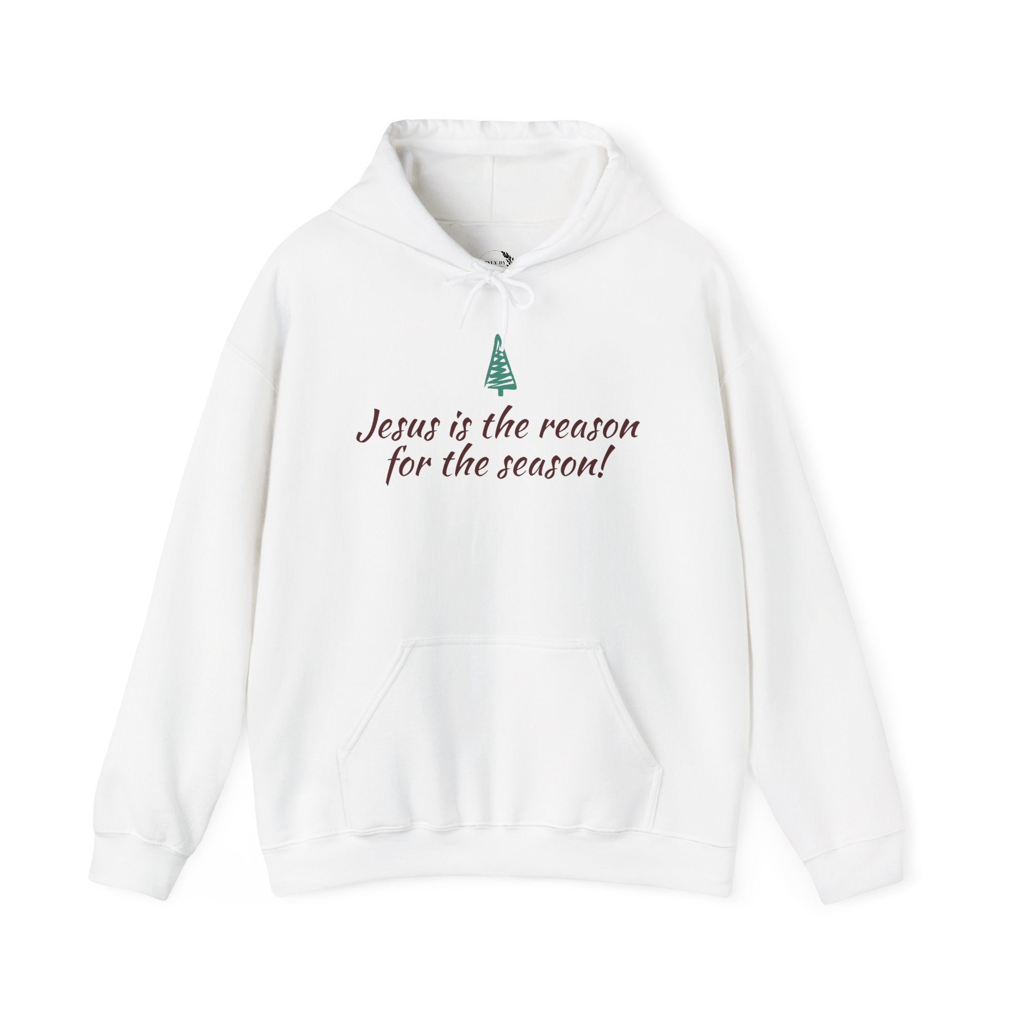 Jesus Is the Reason for the Season Hoodie — Christian Christmas Pullover