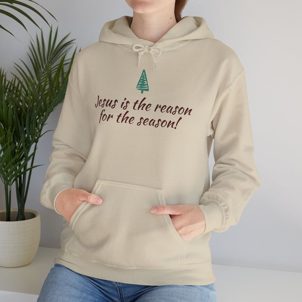 Jesus Is the Reason for the Season Hoodie — Christian Christmas Pullover