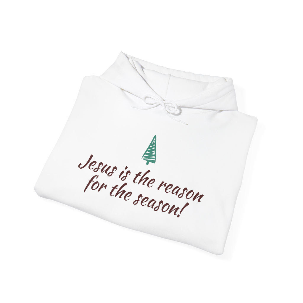 Jesus Is the Reason for the Season Hoodie — Christian Christmas Pullover