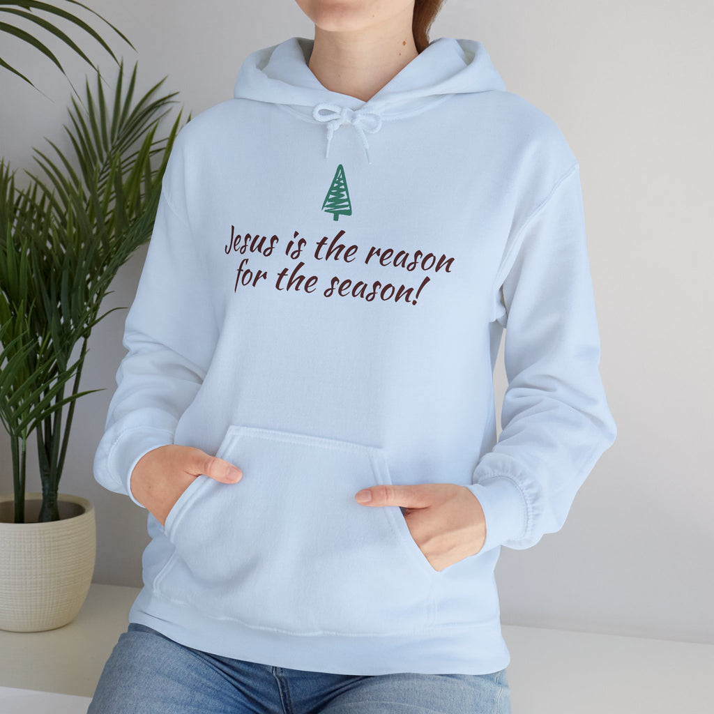 Jesus Is the Reason for the Season Hoodie — Christian Christmas Pullover