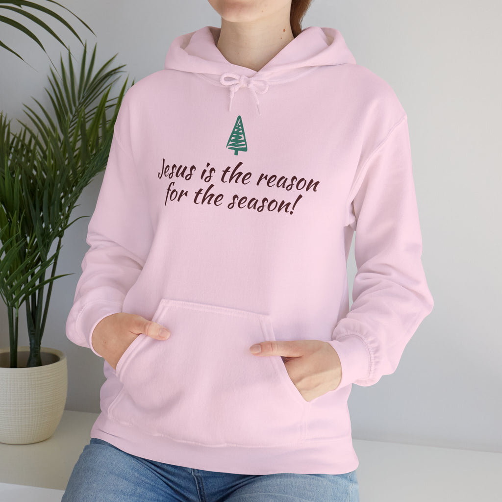 Jesus Is the Reason for the Season Hoodie — Christian Christmas Pullover