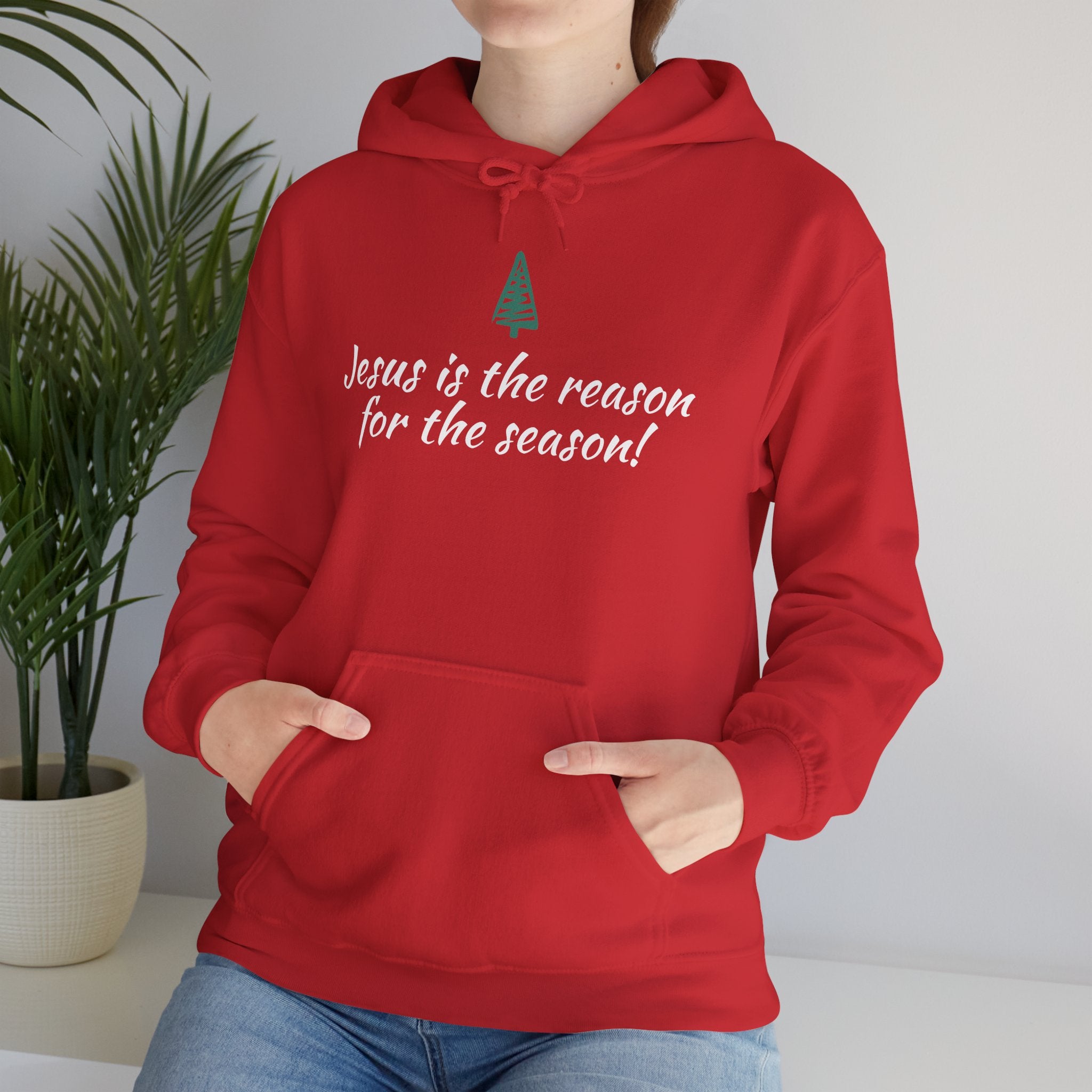 Jesus Is the Reason for the Season Hoodie — Christian Christmas Pullover