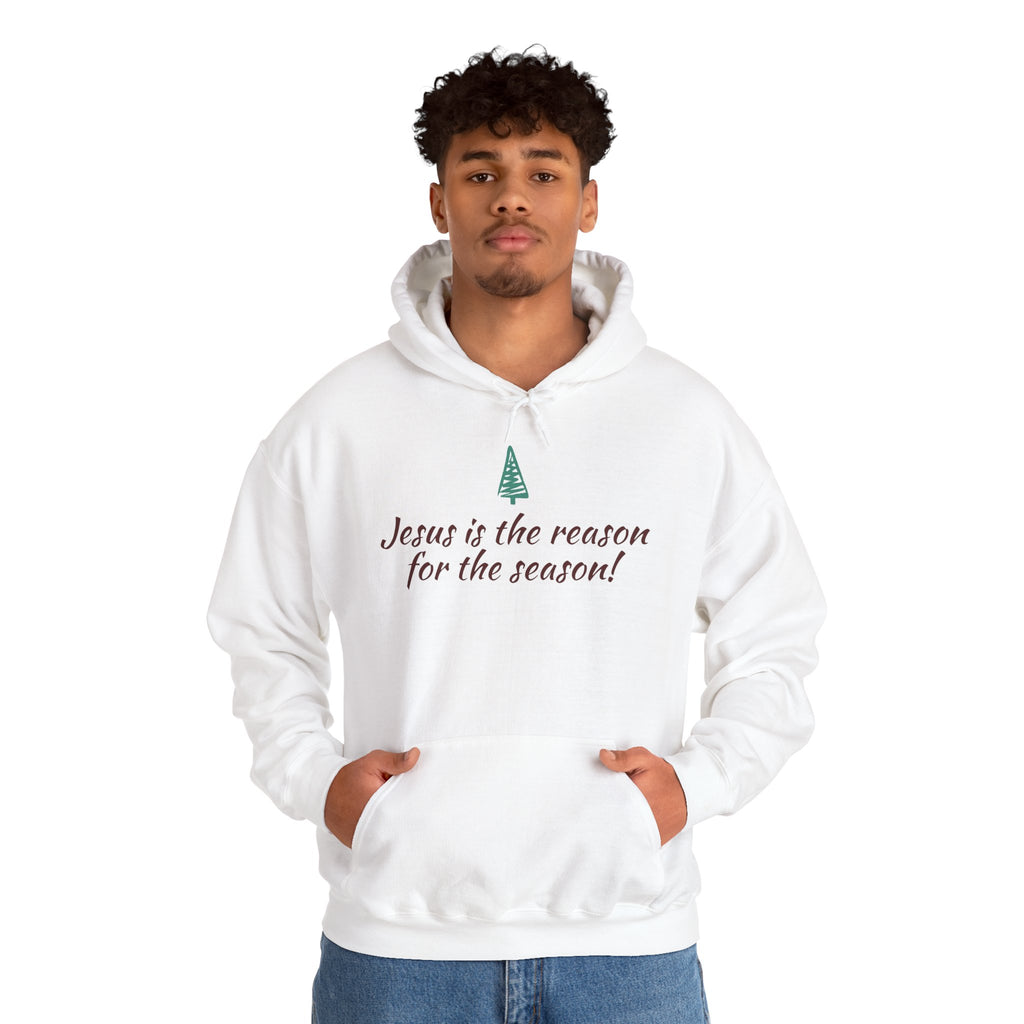 Jesus Is the Reason for the Season Hoodie — Christian Christmas Pullover