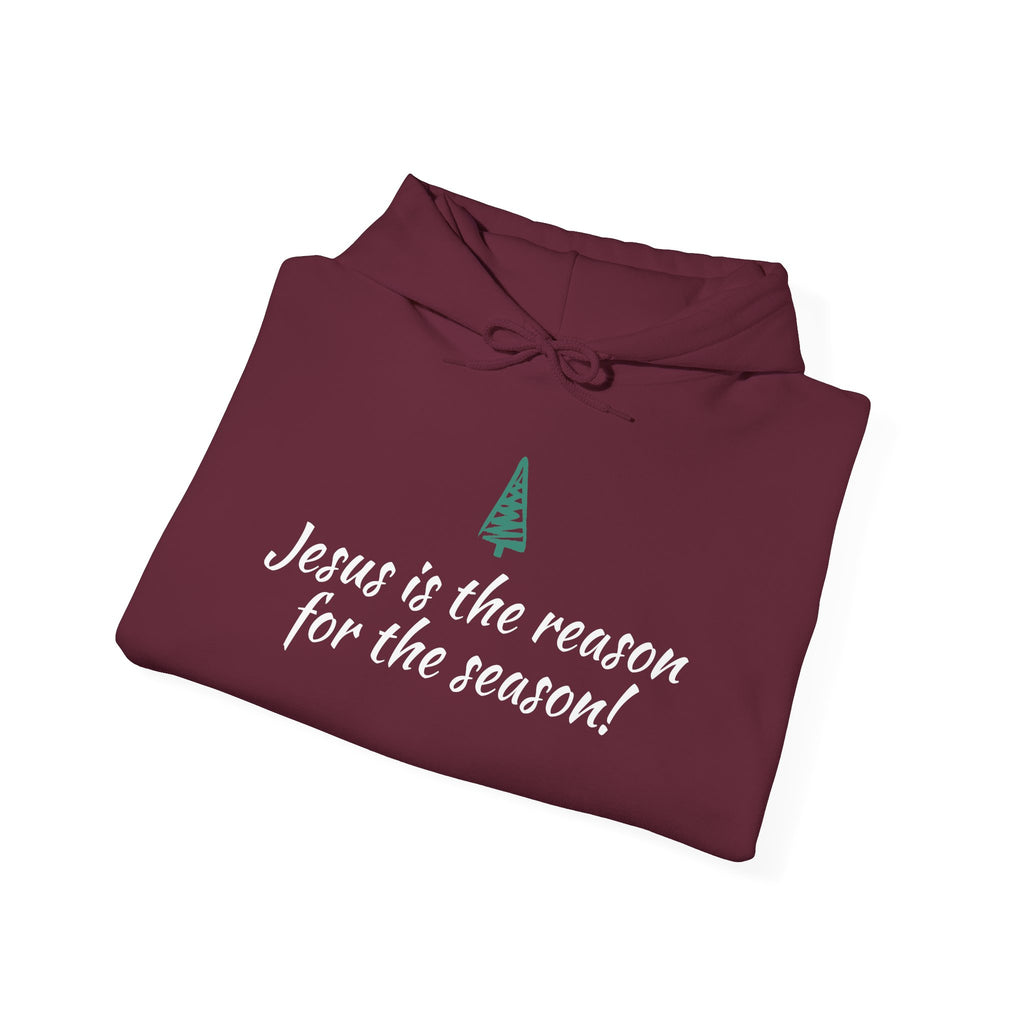 Jesus Is the Reason for the Season Hoodie — Christian Christmas Pullover